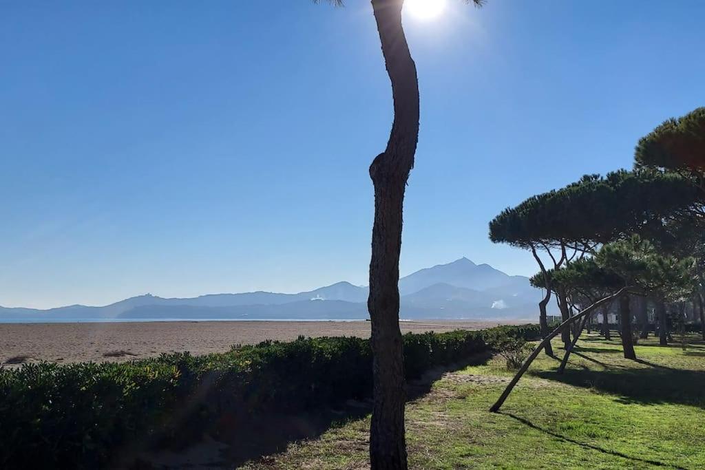 Appartement Renove Avec Balcon A 100 M De La Plage Argelès-sur-Mer Esterno foto